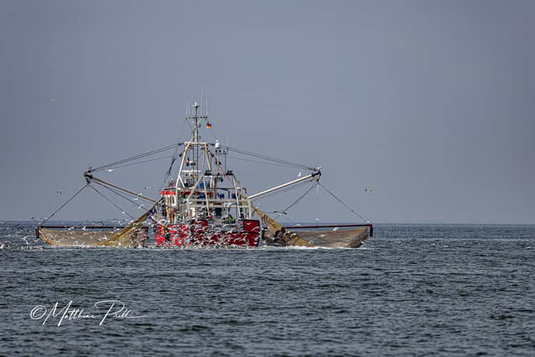 Krabbenkutter vor Büsum