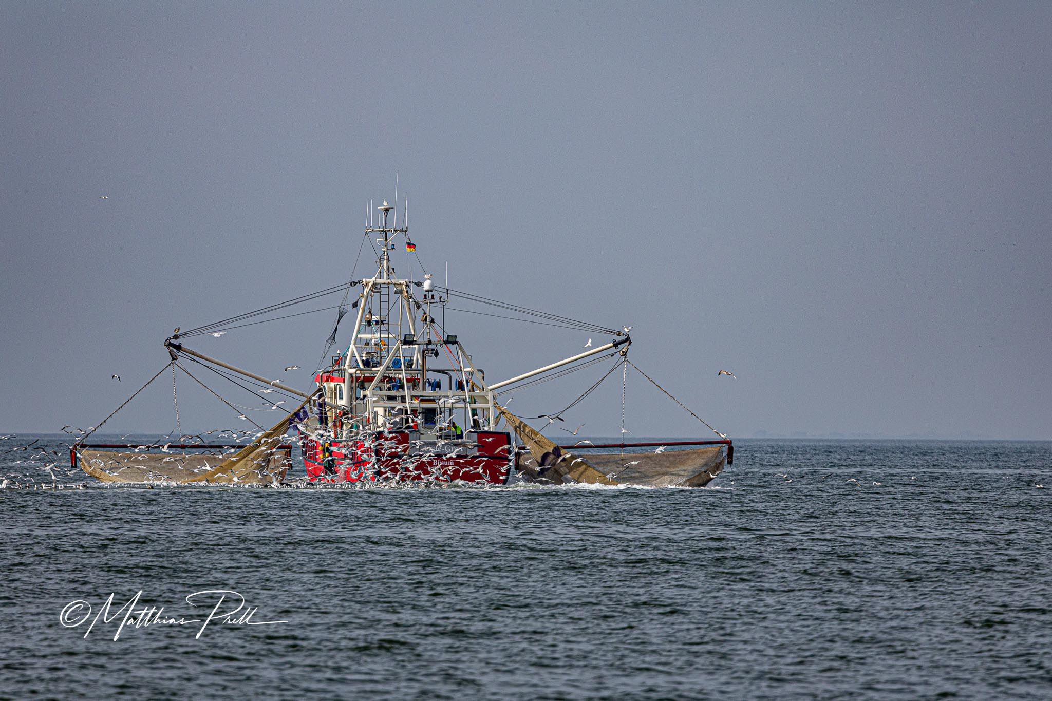 Krabbenkutter vor Büsum, Germany