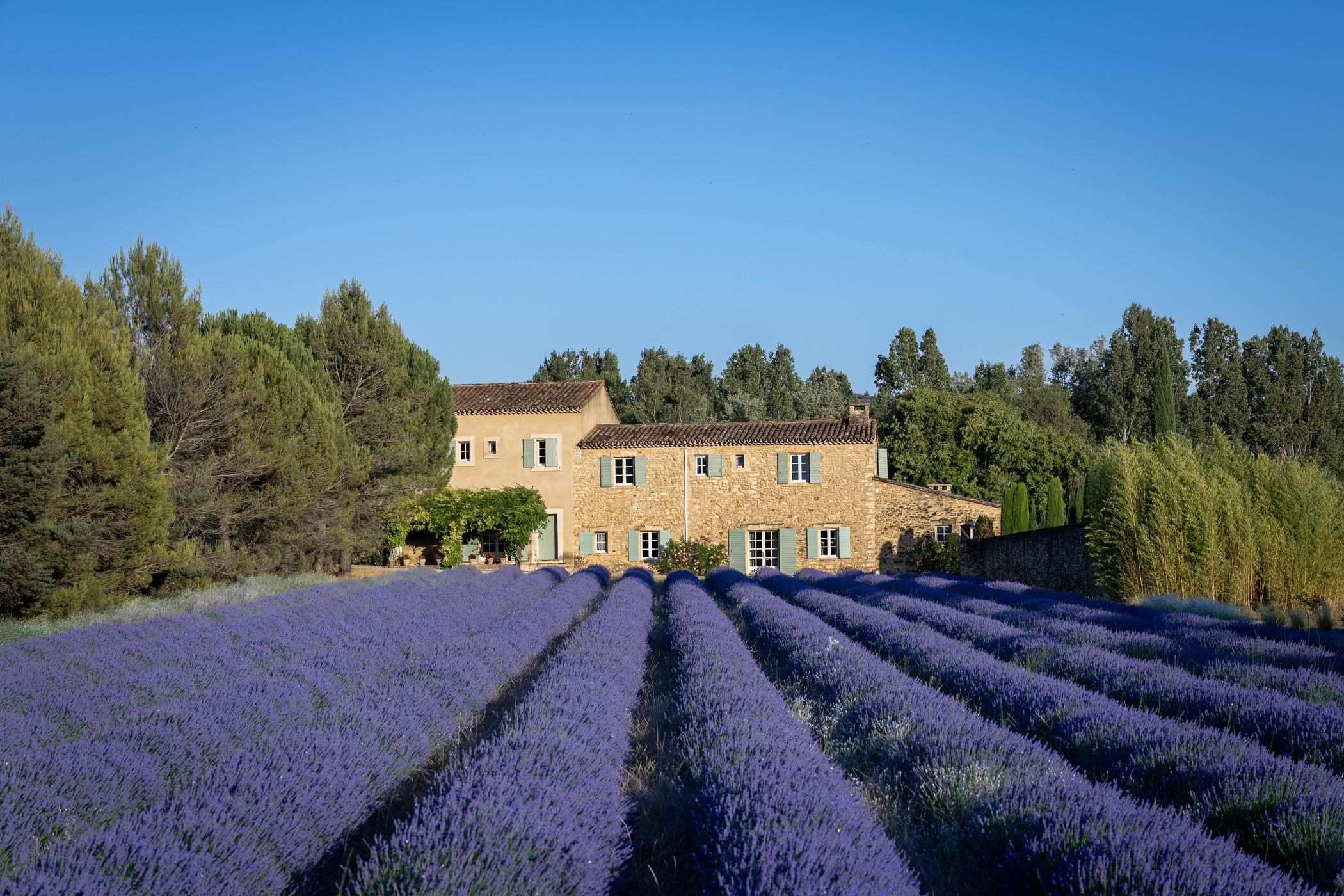 Lavender Fields and the Stone Villa, France