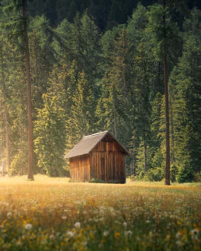 Lonely Hut