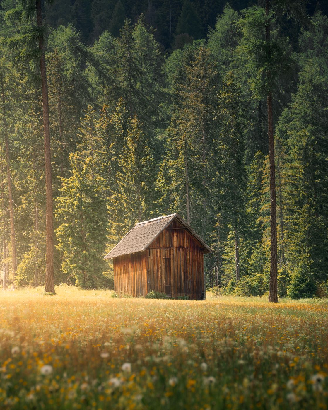 Lonely Hut, Italy