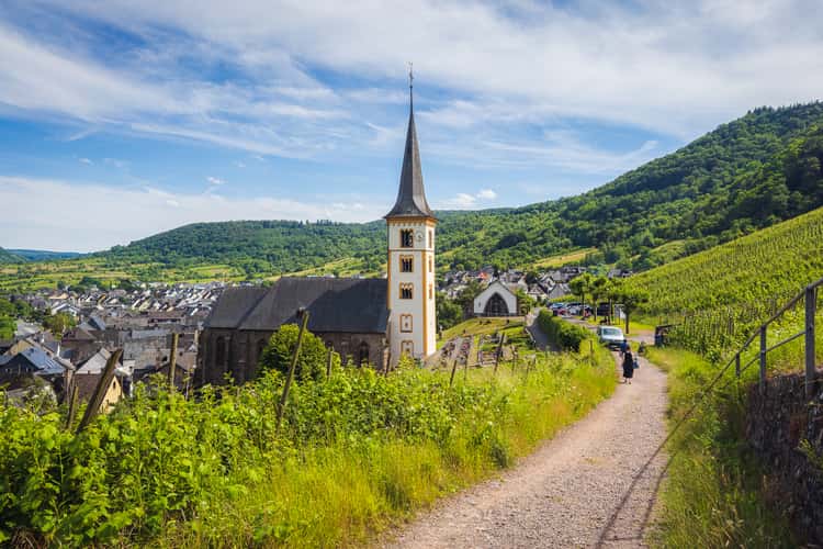 Lower panoramic view of Moselbogen, Bremm