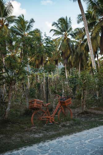 L'Union Estate Vanilla Plantation