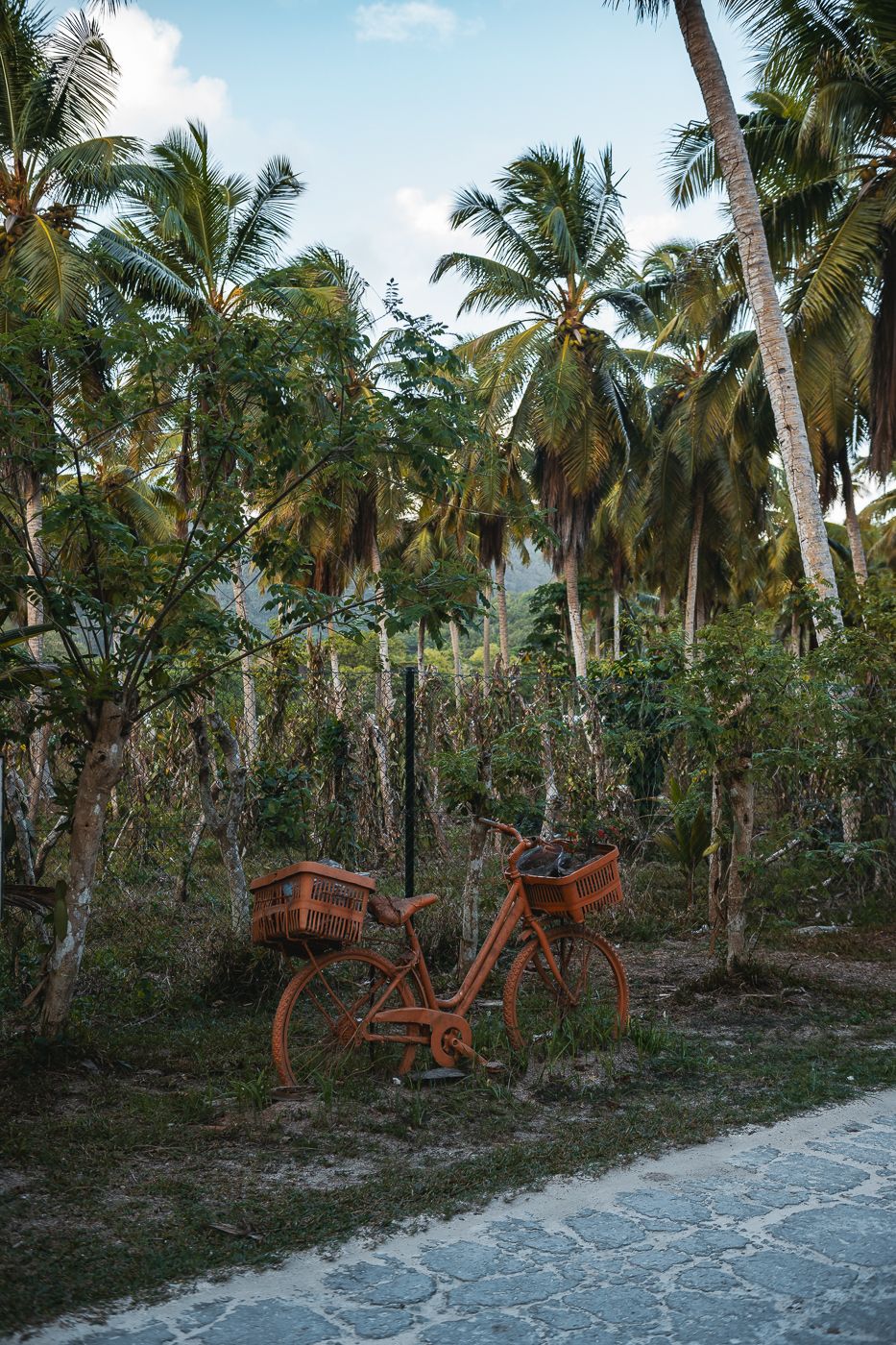 L'Union Estate Vanilla Plantation, Seychelles