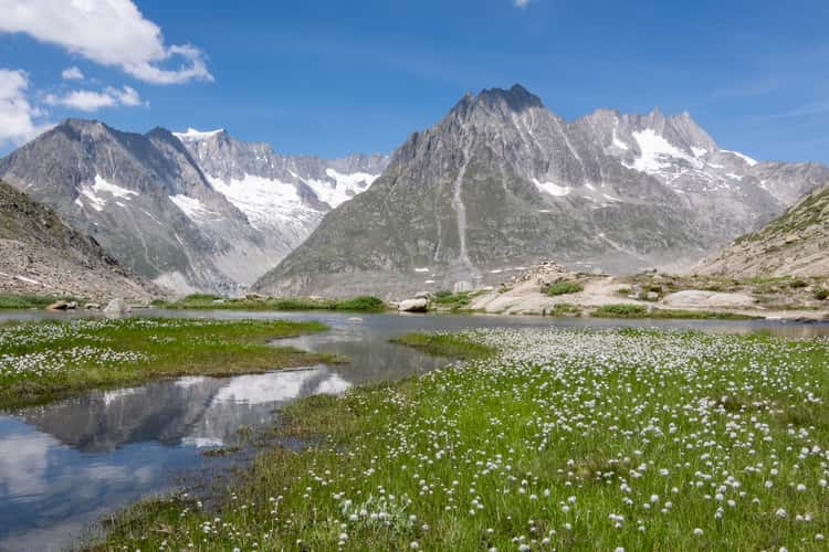 Märjelensee