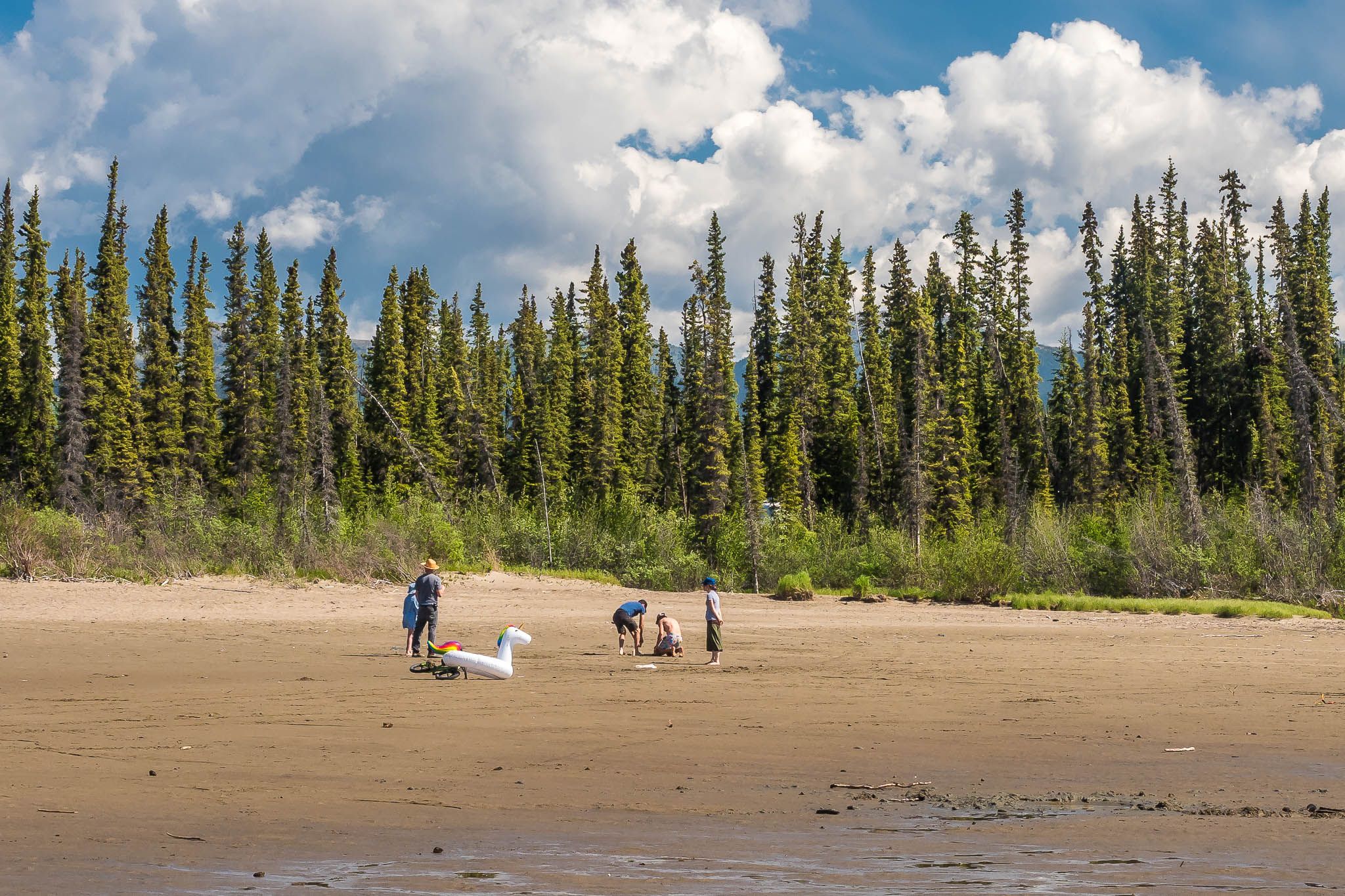 Marsh Lake, Canada