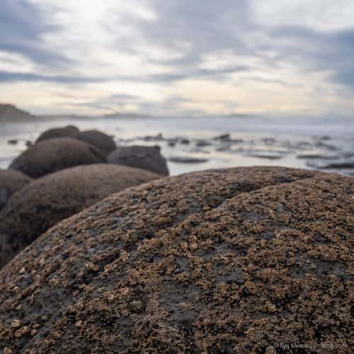 Moeraki Boulders sunrise South Island