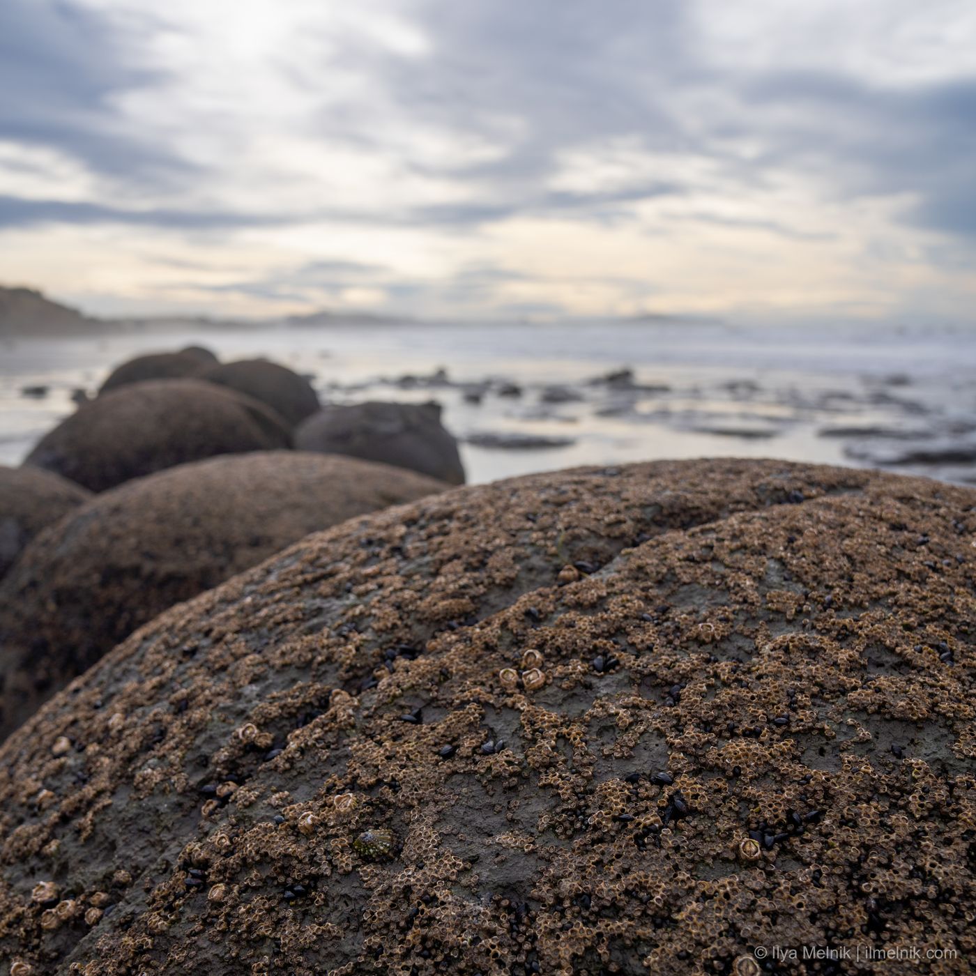 Moeraki Boulders sunrise South Island, New Zealand