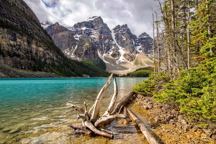 Moraine Lake Shoreline