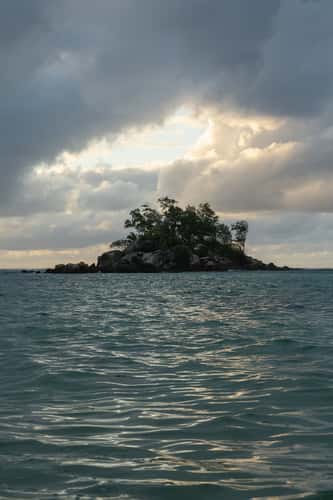 Mouse islet