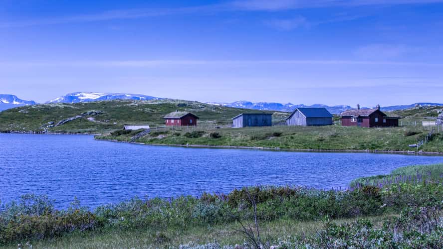 Nedre Blomestølen
