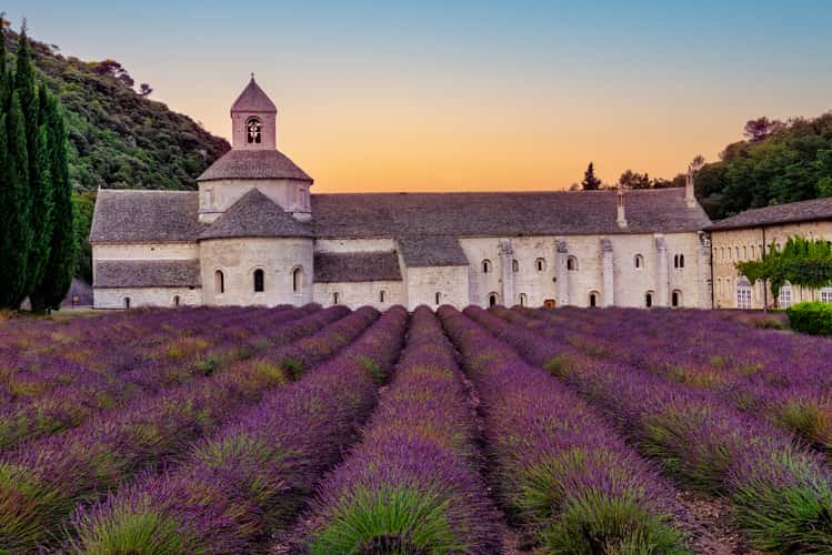 Notre Dame de Senanque