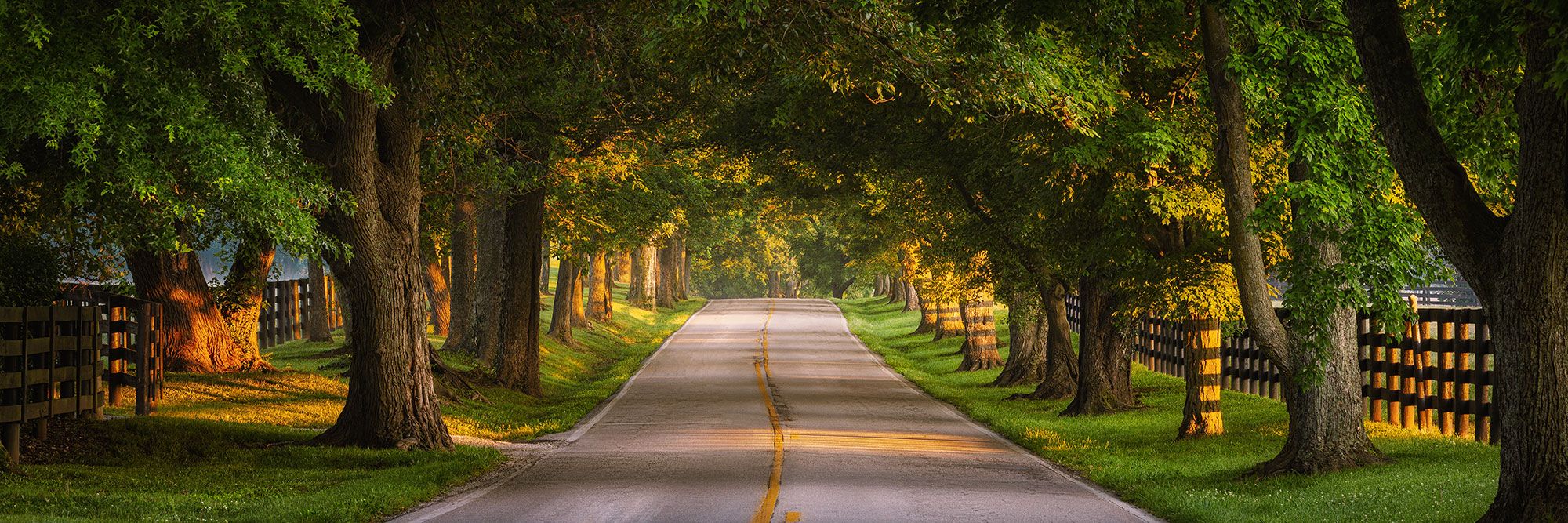 Old Frankfort Pike Tree Tunnel, USA