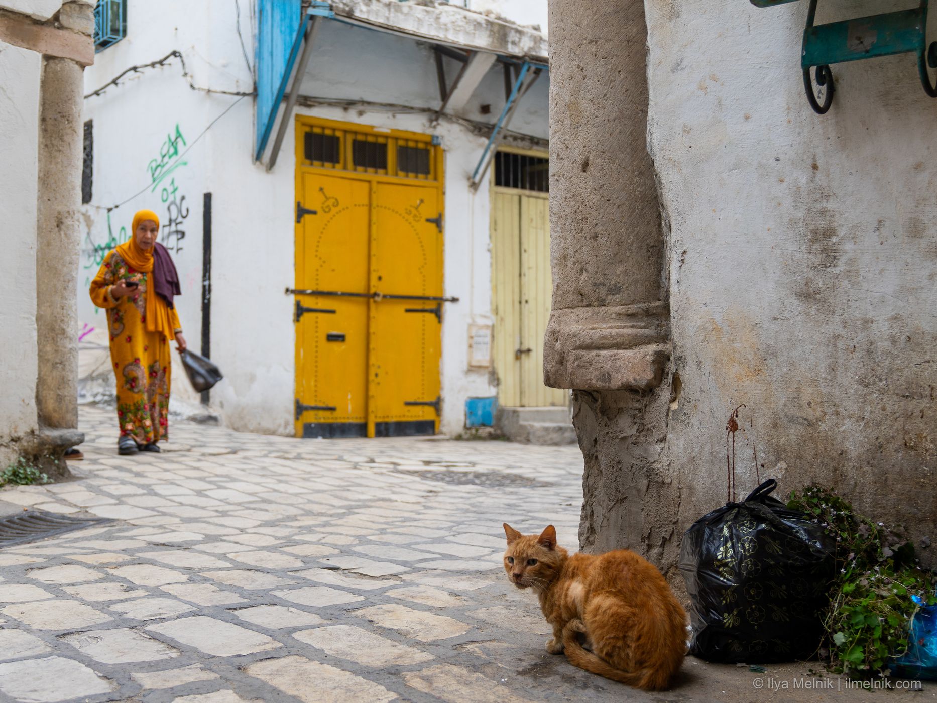 Old Town Streets of Tunis, Tunisia