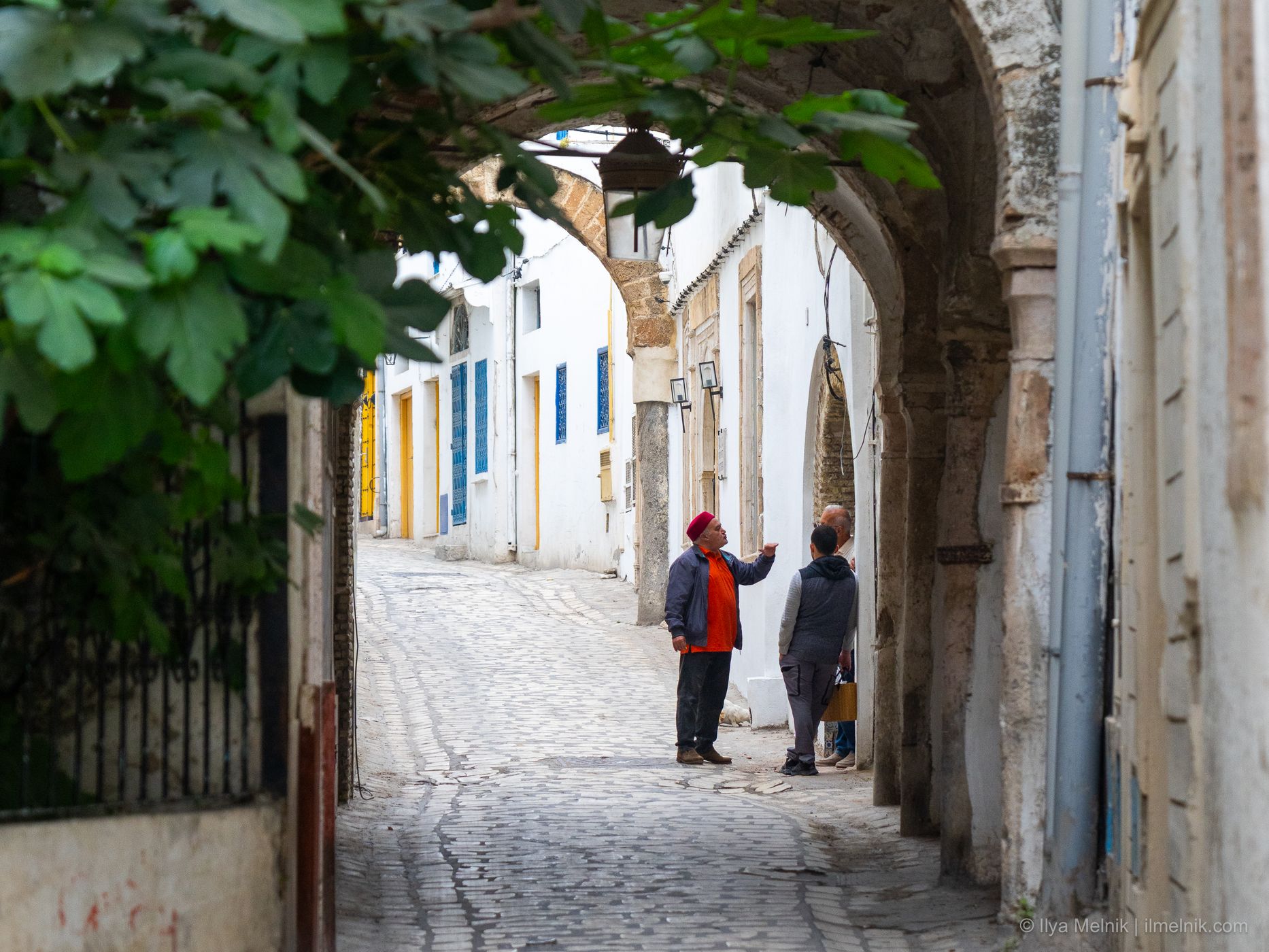 Old Town Streets of Tunis, Tunisia