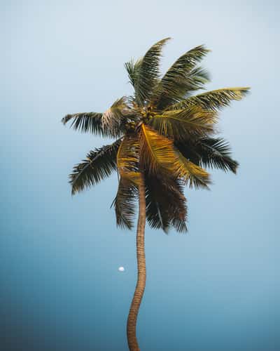 Petit Anse Mahé