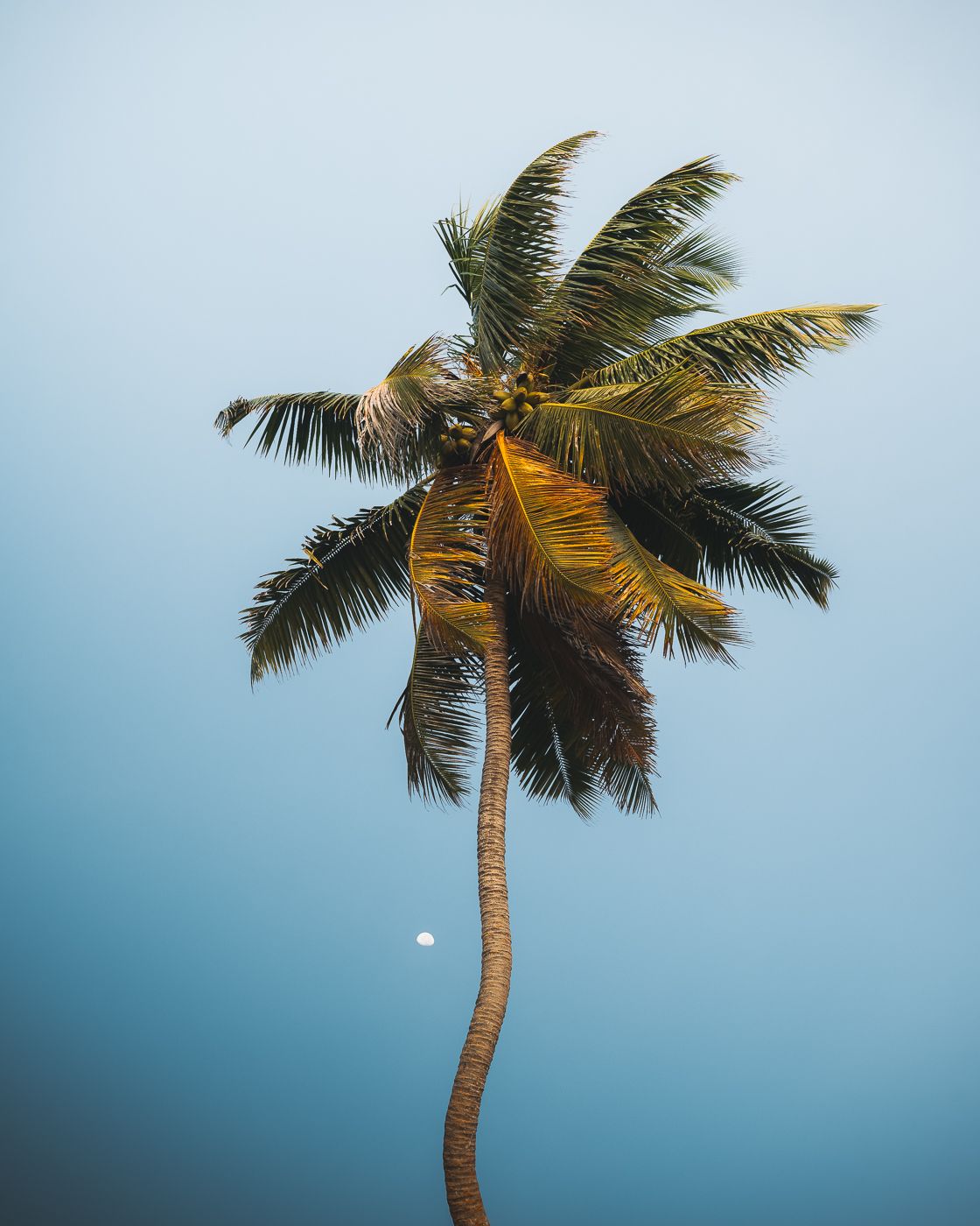 Petit Anse Mahé, Seychelles