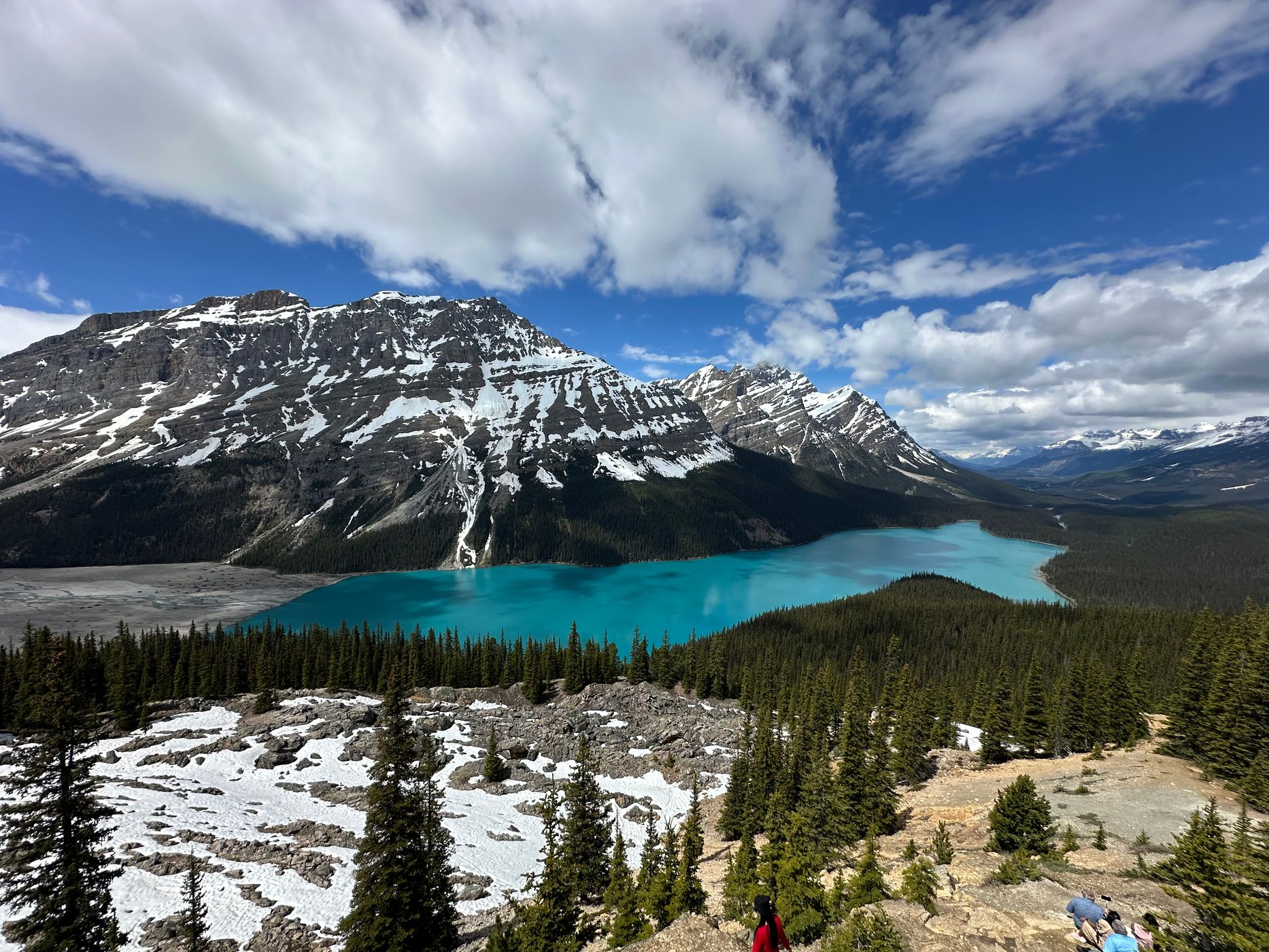 Peyto Lake Overview from Bow Summit, Canada
