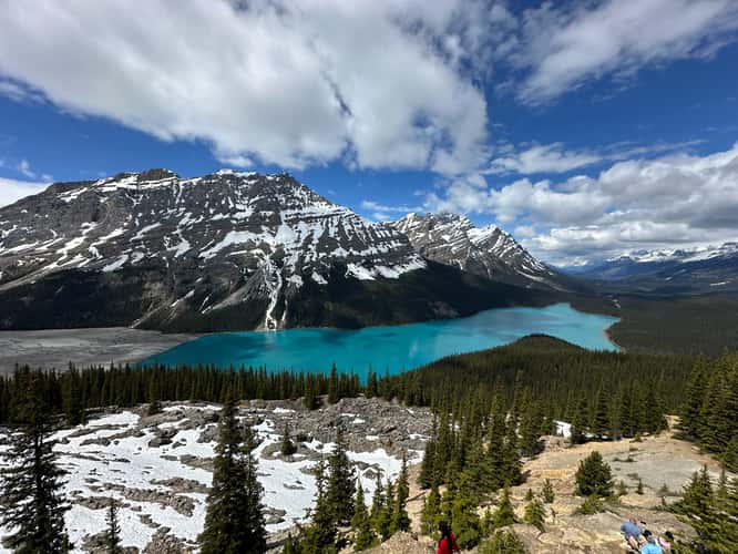 Peyto Lake Overview from Bow Summit