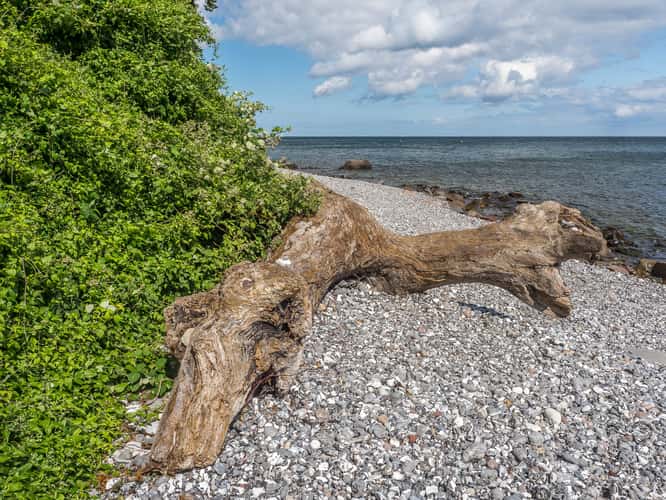 Raw Chalk Coast, Sassnitz
