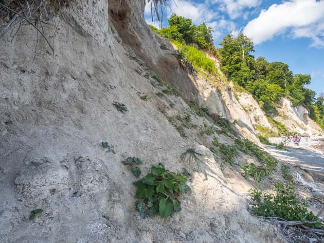 Raw Chalk Coast, Sassnitz