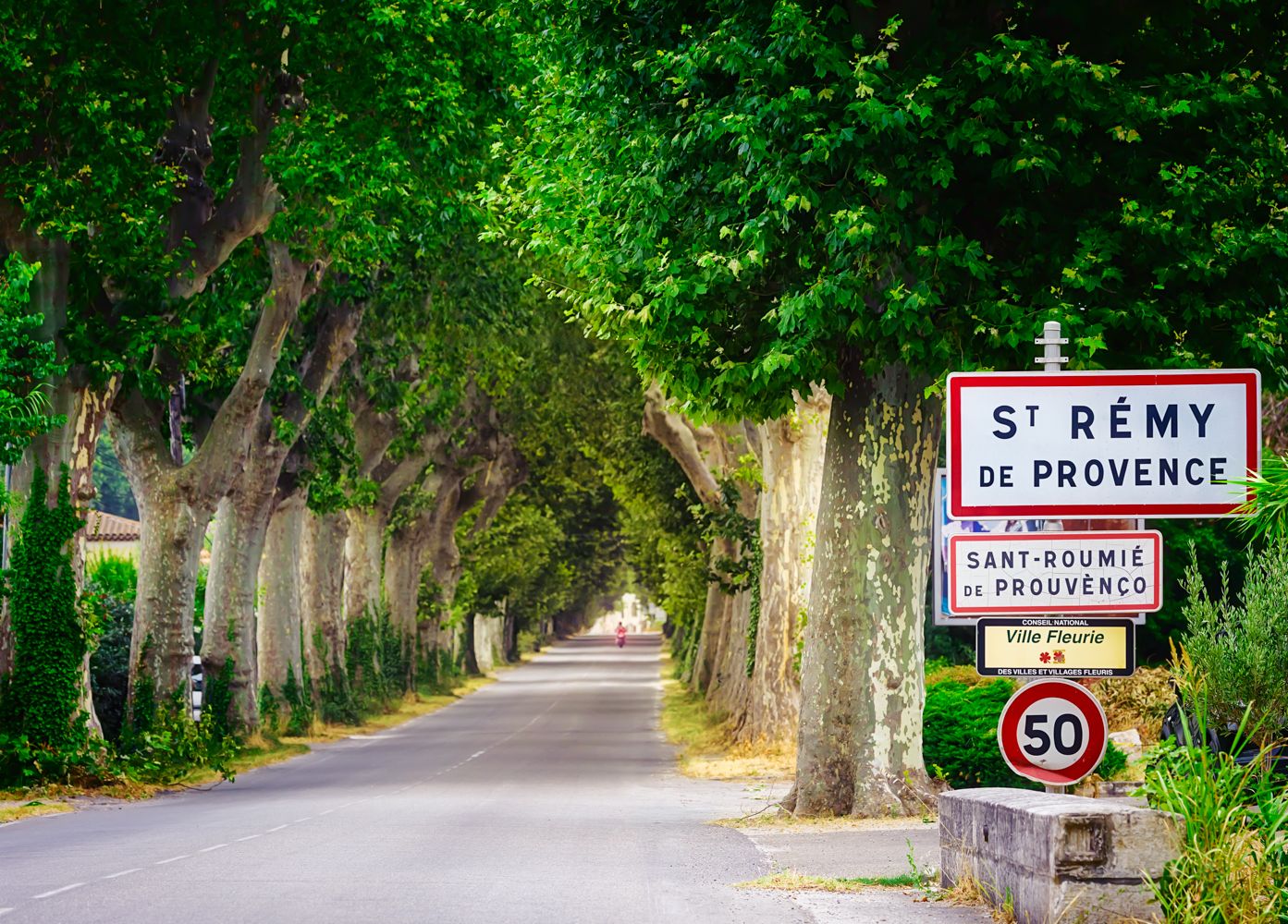 Road into St Remy de Provence, France