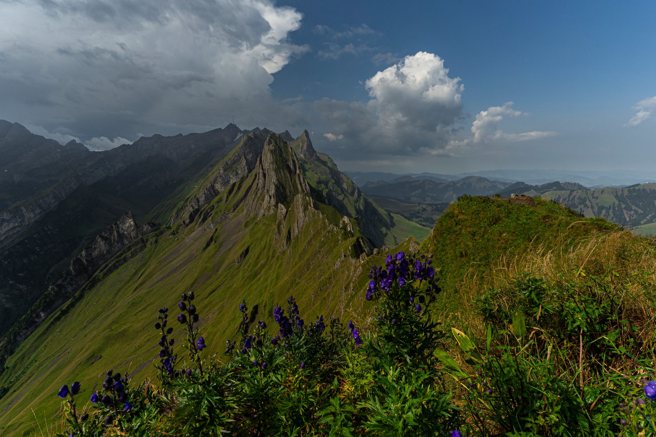 Schäfler, Switzerland