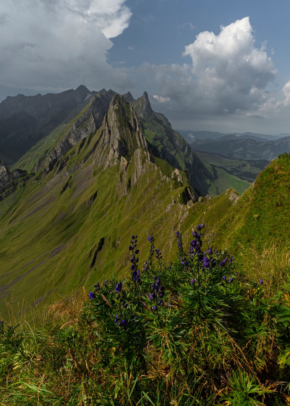 Schäfler, Switzerland