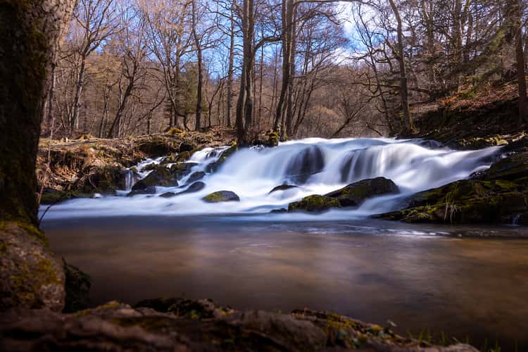 Selkefall - Saxony-Anhalt