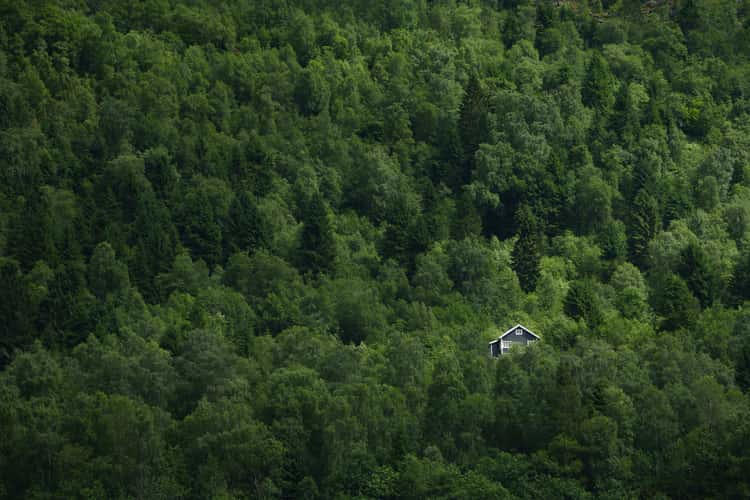 Singervegen, Olden