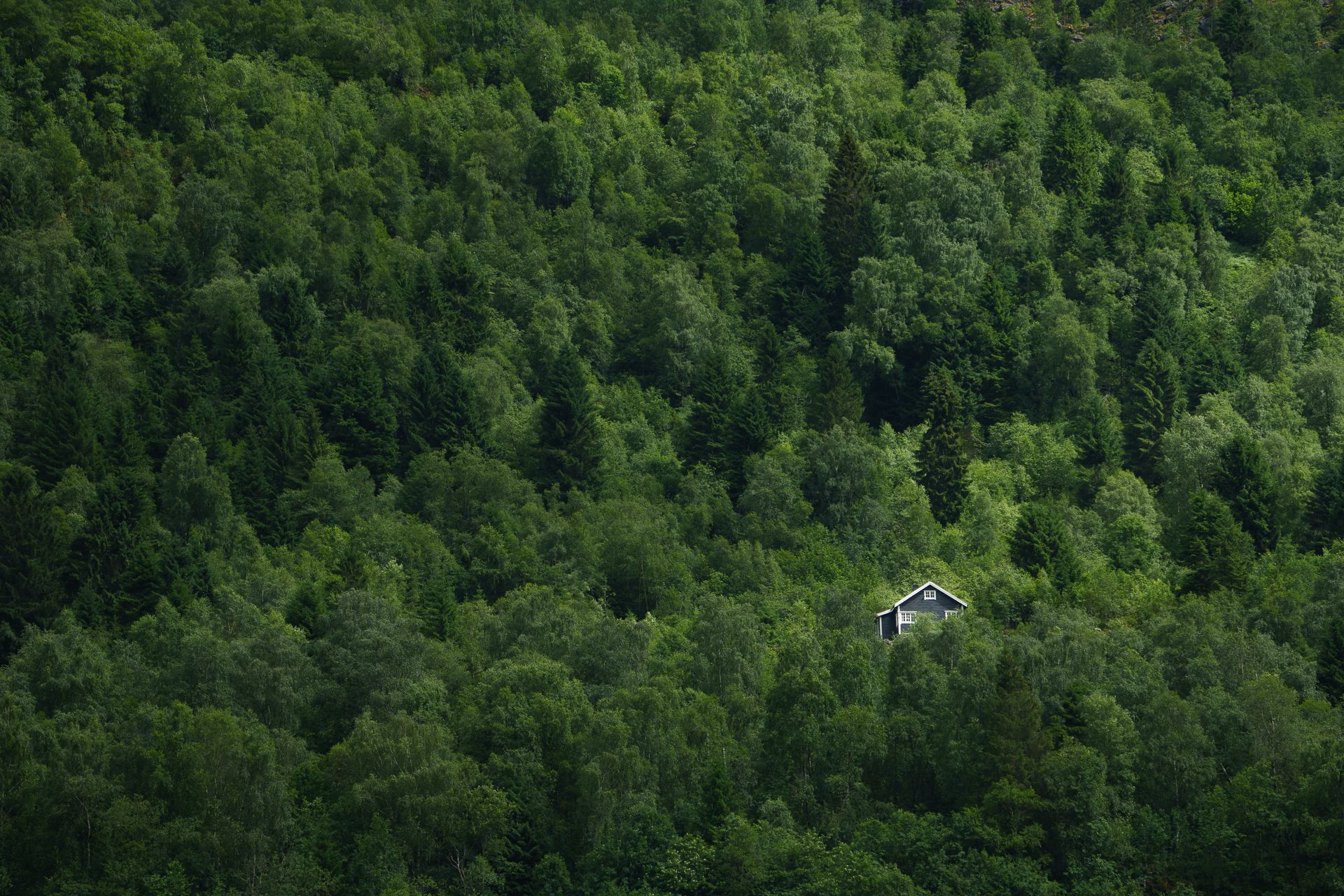 Singervegen, Olden, Norway