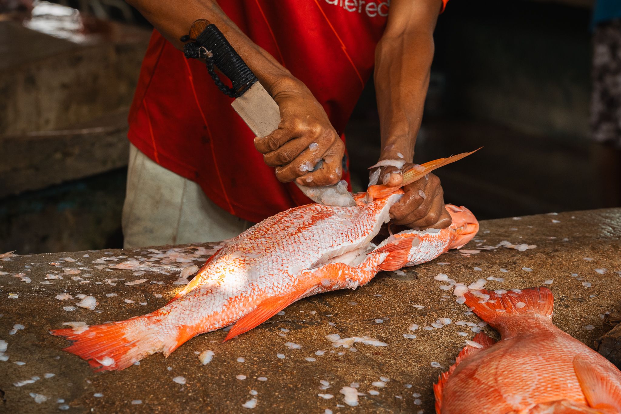 Sir Selwyn Clarke Market, Seychelles
