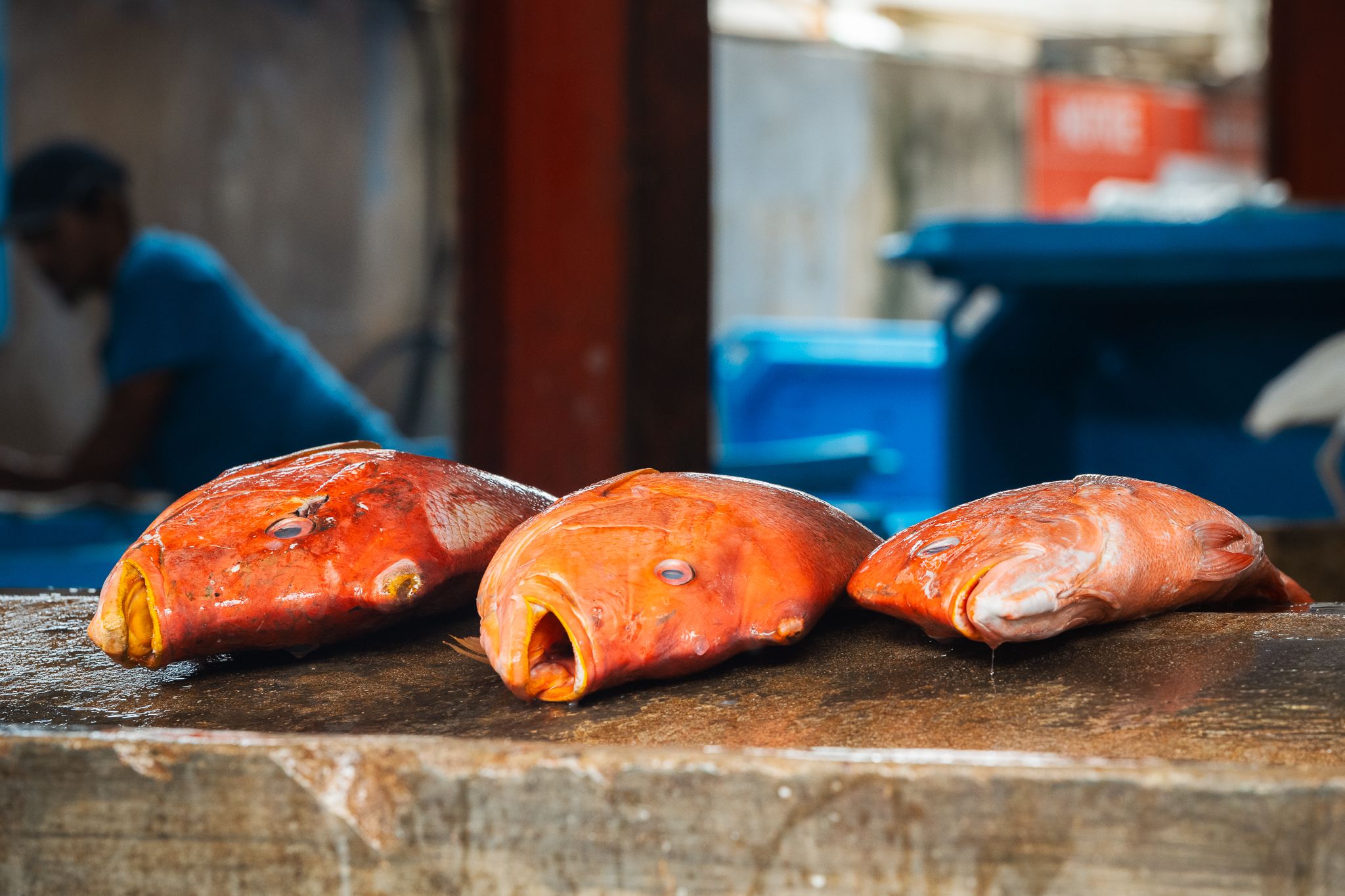 Sir Selwyn Clarke Market, Seychelles
