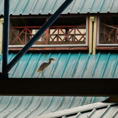 Sir Selwyn Clarke Market, Seychelles
