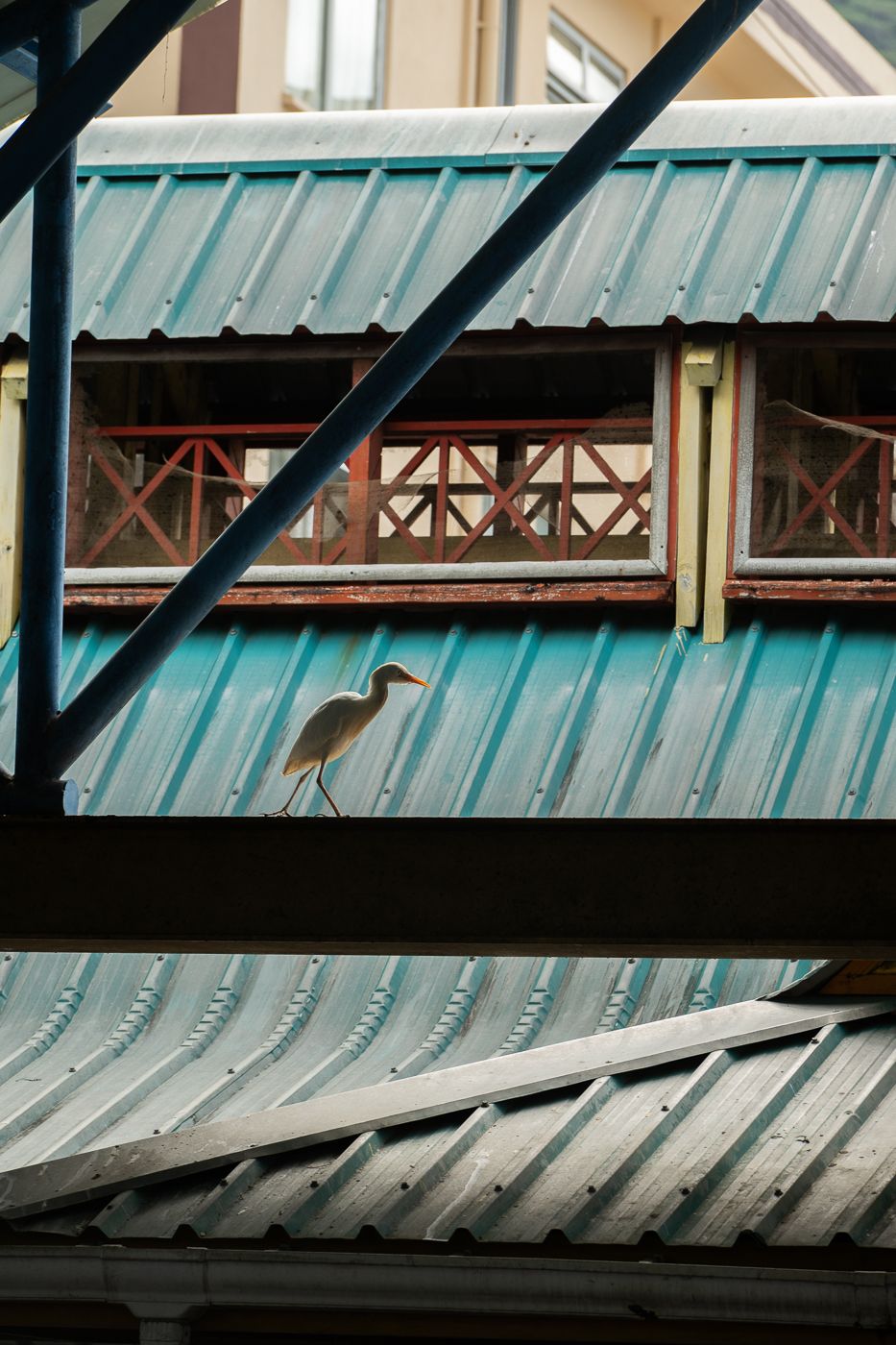 Sir Selwyn Clarke Market, Seychelles