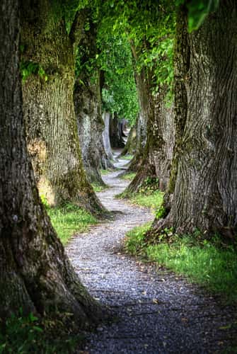 Steindlweg