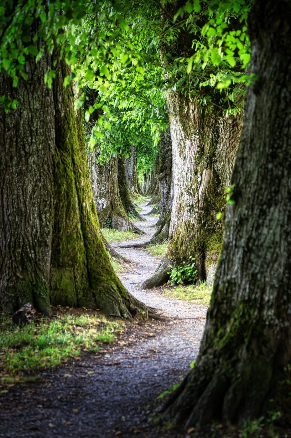 Steindlweg, Germany