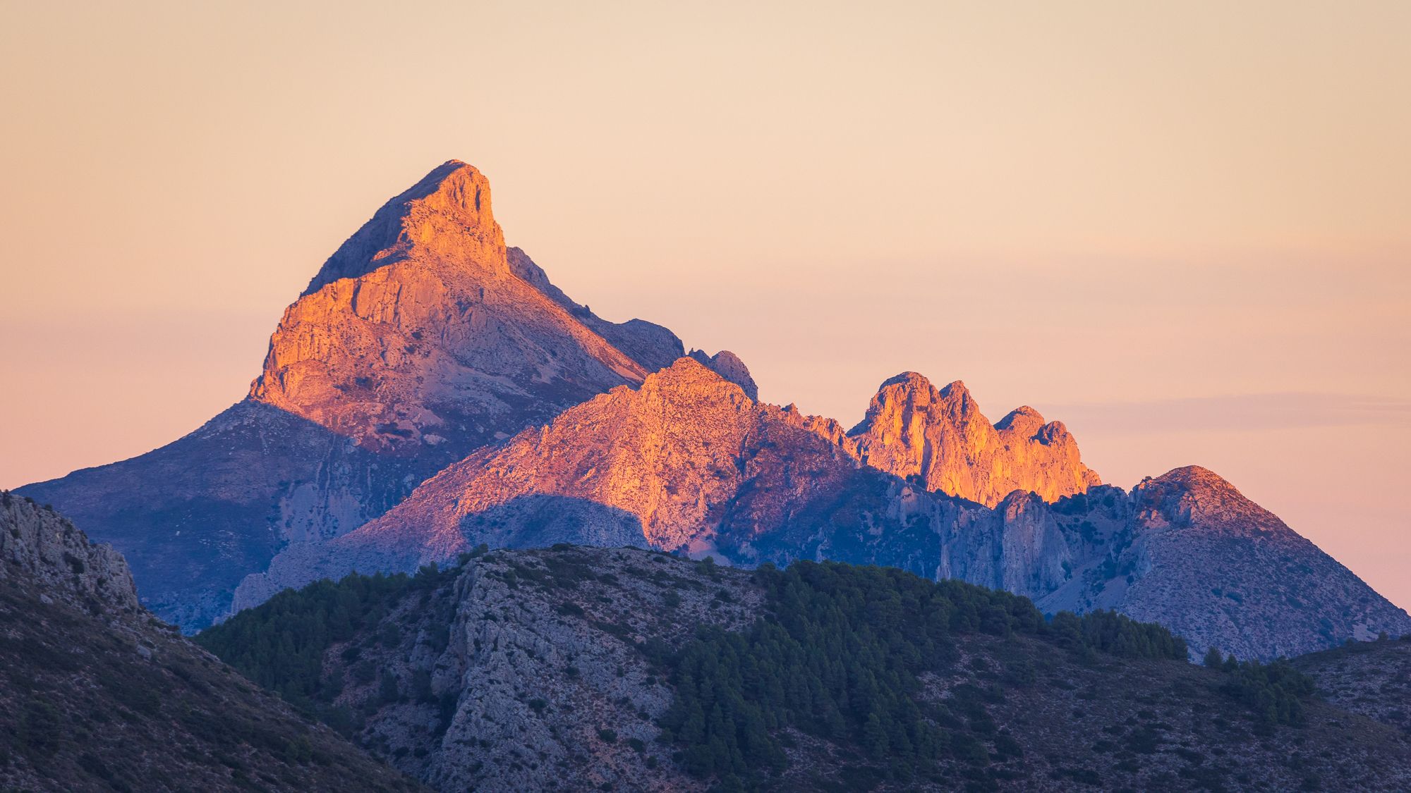 The Fang, Spain