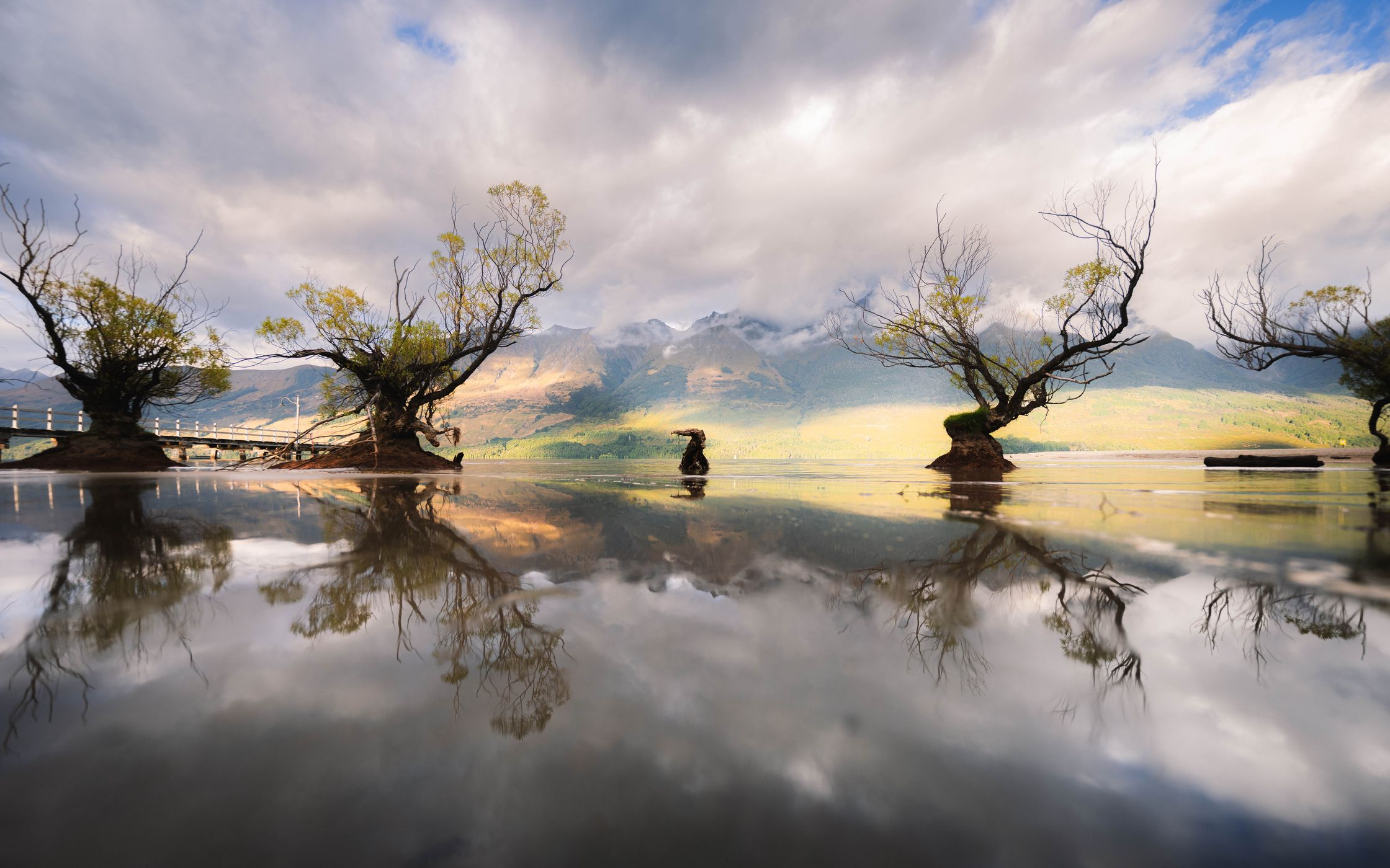 The Willow Trees of Glenorchy, New Zealand