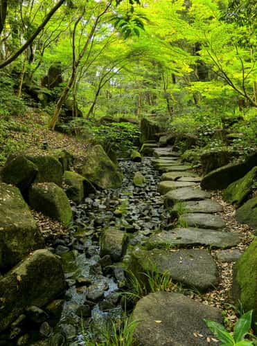 Tokugawaen Garden