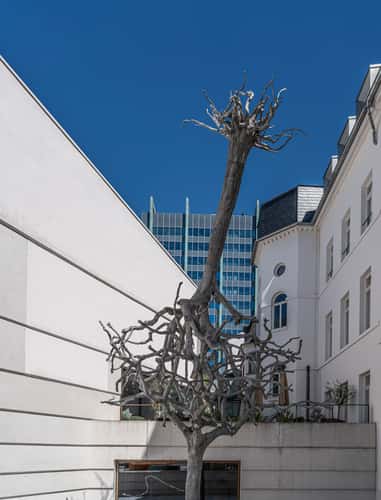 Tree sculpture at Jewish Museum, Frankfurt am Main