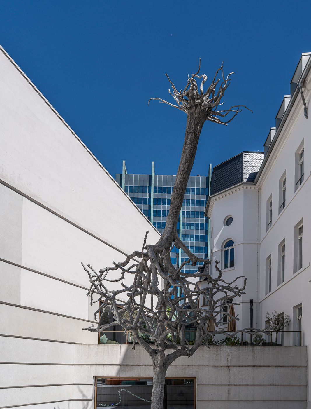 Tree sculpture at Jewish Museum, Frankfurt am Main, Germany