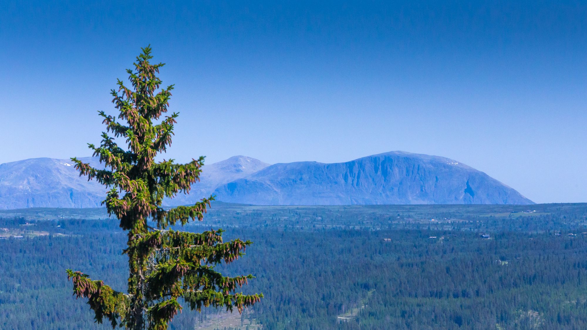 View towards Skogshorn, Norway