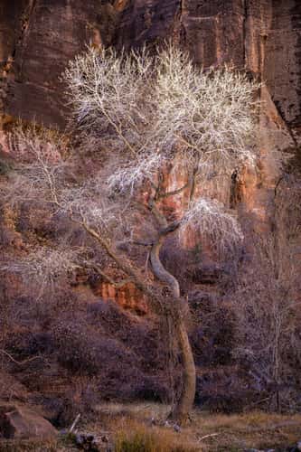 Zion Canyon
