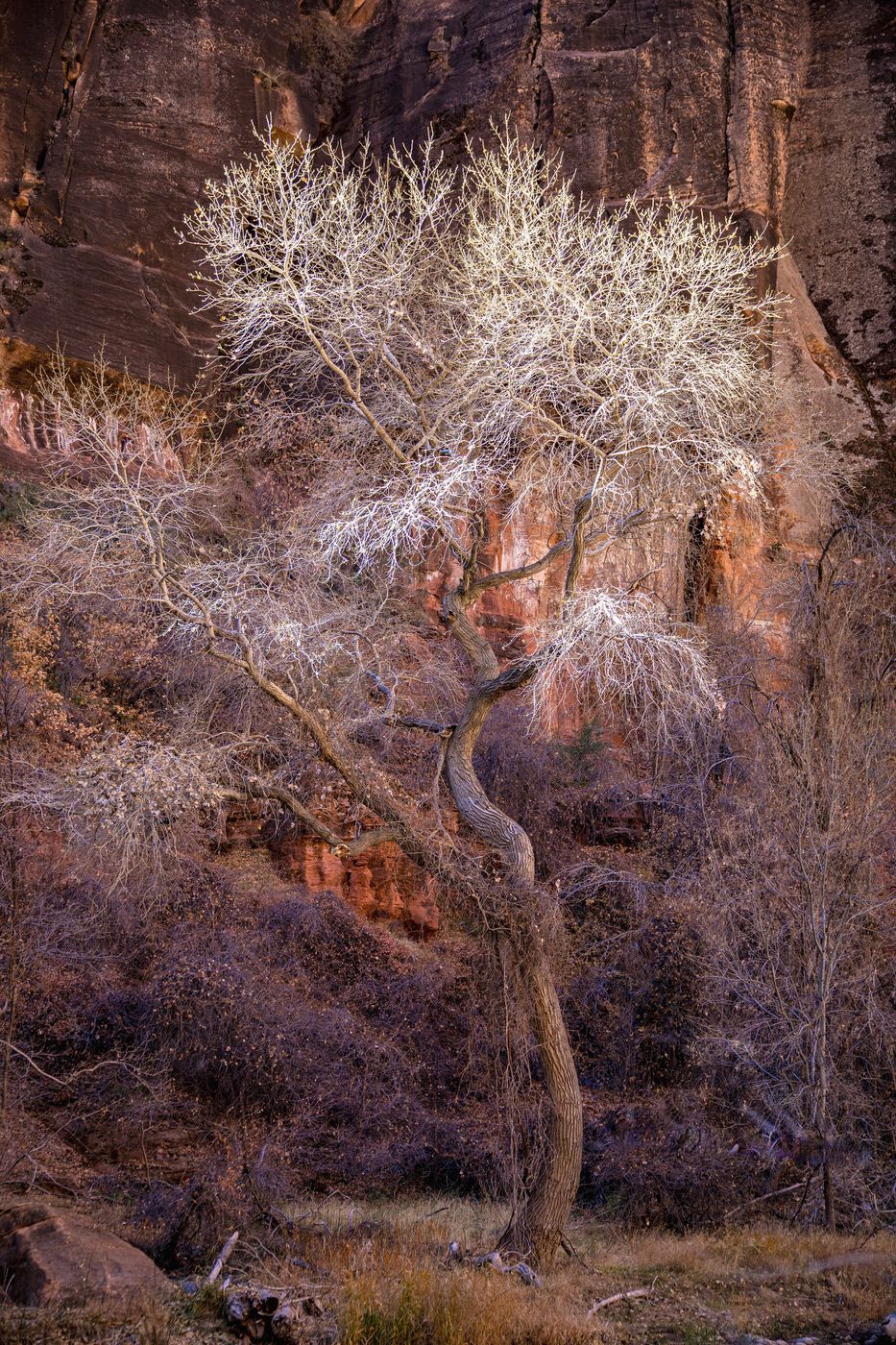 Zion Canyon, USA