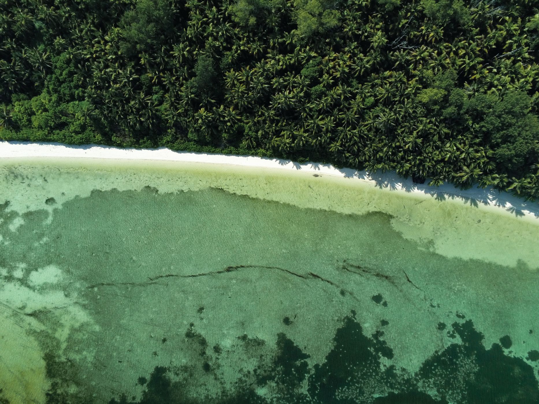 Alphonse, Seychelles
