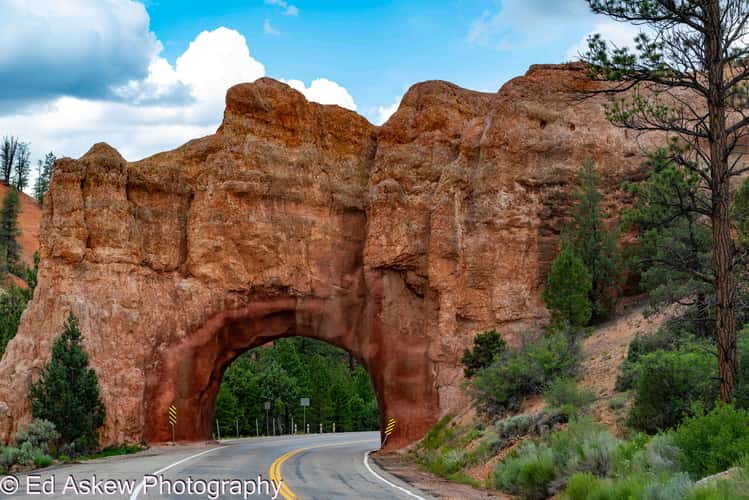Arches at Red Canyon Trailhead