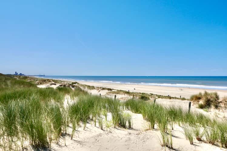 Beach and sand dunes at Wassenaar (Meijendel)