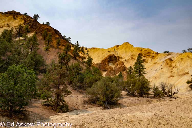 Big Rock Candy Mountain