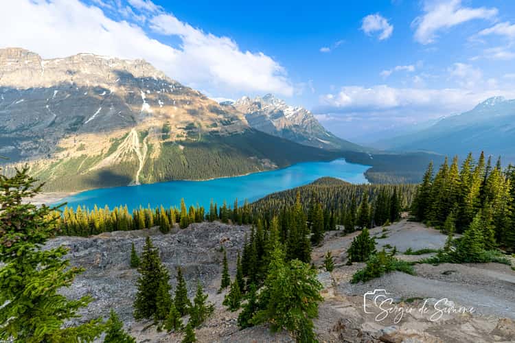 Bow Summit und Peyto Lake